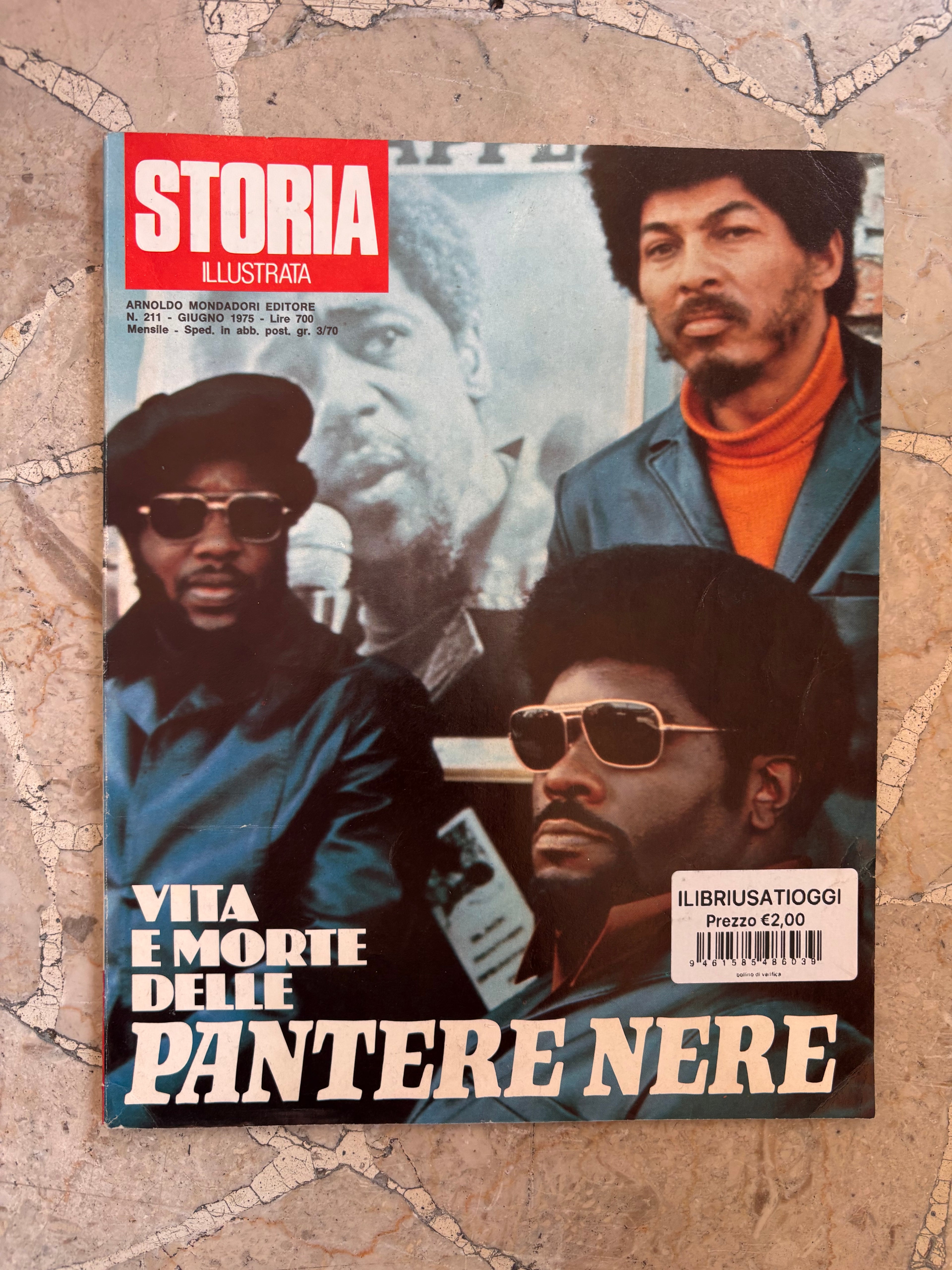 Storia Illustrata - Vita e Morte delle Pantere Nere