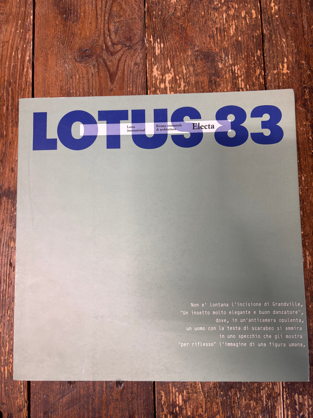 Lotus international 83